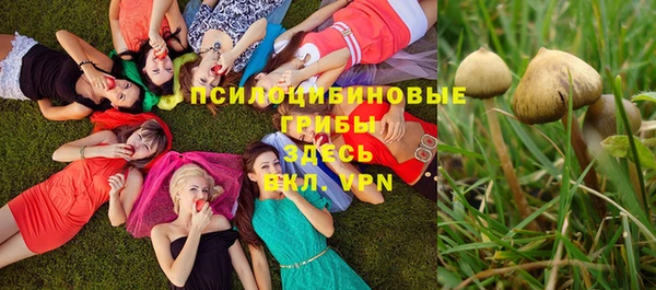 mdpv Магадан