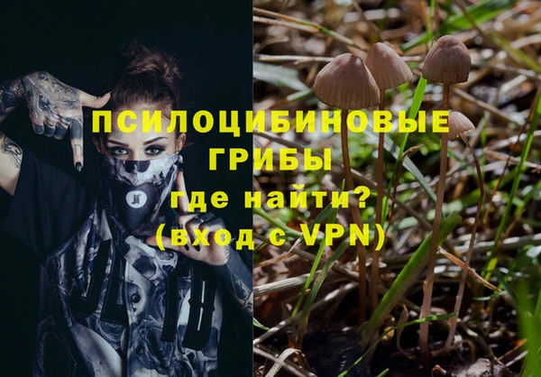 mdpv Магадан