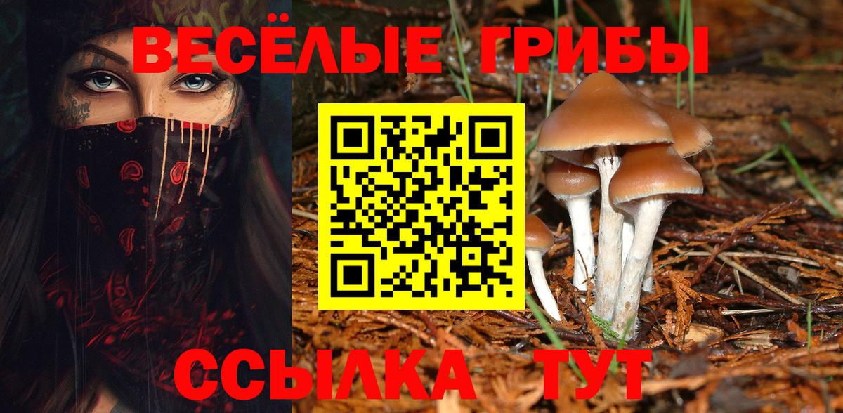 Галлюциногенные грибы мицелий  Галлюциногенные грибы мухоморы  Псков  Вход с VPN 
